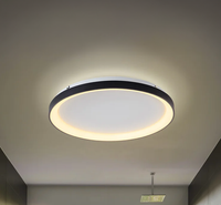 مثبتة على السقف